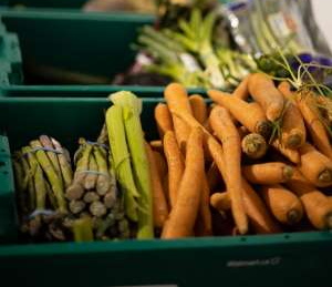 Carrots being displayed